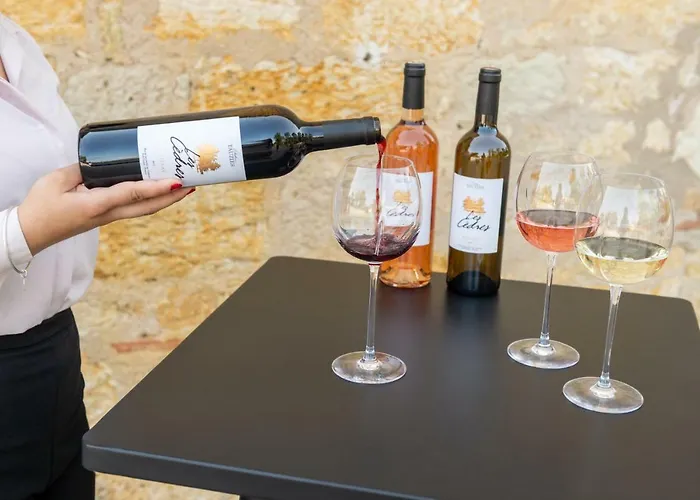 Chateau De Tauzies, The Originals Relais Ξενοδοχείο με διαμερίσματα Gaillac