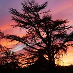 Apartmanhotel Chateau De Tauzies, The Originals Relais 4*