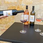 Chateau De Tauzies, The Originals Relais アパートホテル ガイヤック