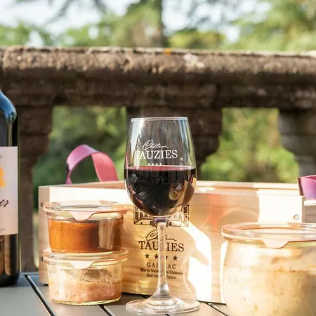 Château De Tauzies, The Originals Relais 4* Gaillac