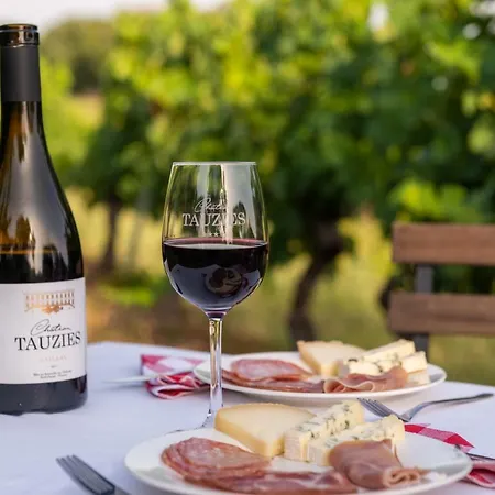 Chateau De Tauzies, The Originals Relais Aparthotel 4*