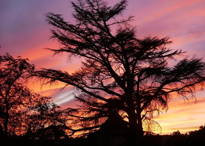 Apart Otel Chateau De Tauzies, The Originals Relais 4*